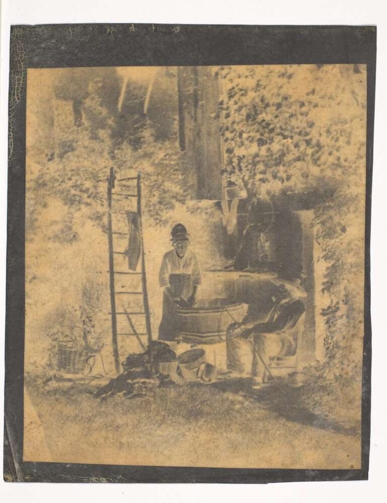 Il processo all’albume (1850 - 1900) 4 albume