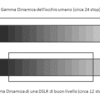 gamma dinaminca