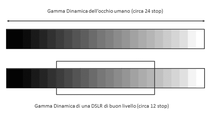 gamma dinaminca gamma dinaminca