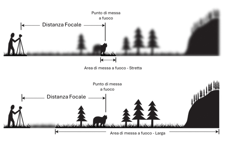 Profondità di campo: guida completa con esempi pratici 10 messa a fuoco