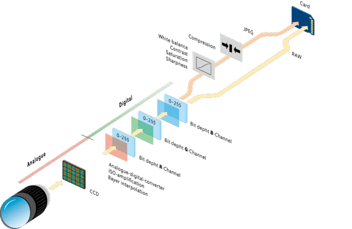 da raw a jpg da raw a jpg