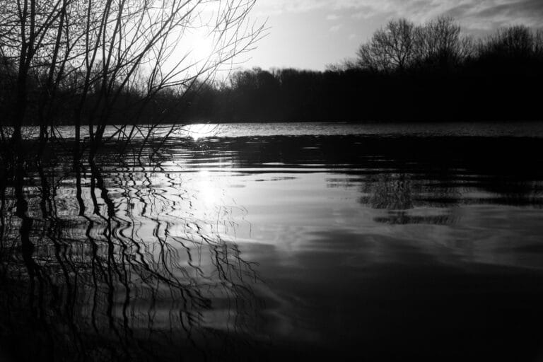 La Magia del Grande Formato: Perché le foto di paesaggio di Ansel Adams sembrano "più vere del vero"? 18 grayscale photo of body of water stockpack unsplash