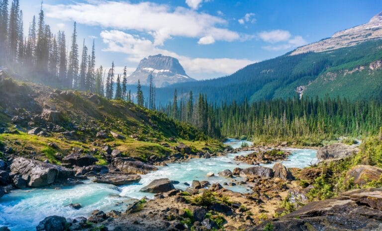 I 13 fotografi più famosi di paesaggi 16 not really lost though i took this picture during a hike in yoho national park in the late morning stockpack unsplash