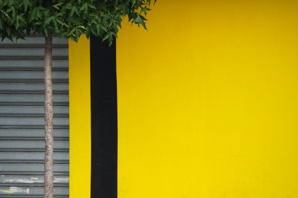 Kill Bill in luce e ombra: il linguaggio fotografico di Tarantino 1 Kill Bill