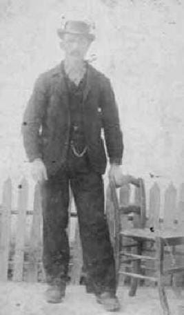 Crisotipia Crisotipia