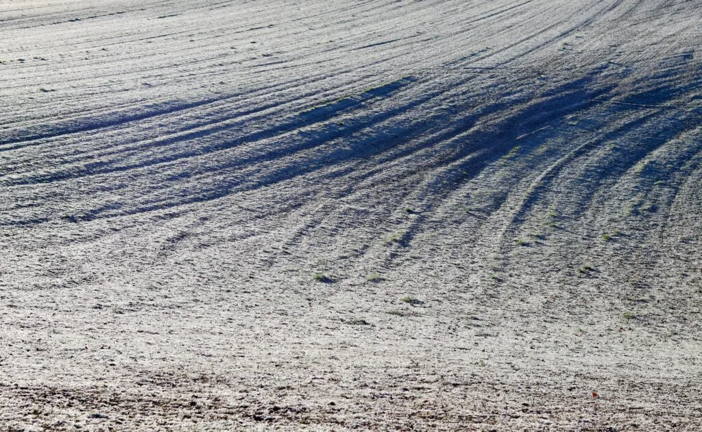 Fotografia “light field” (plenottica)