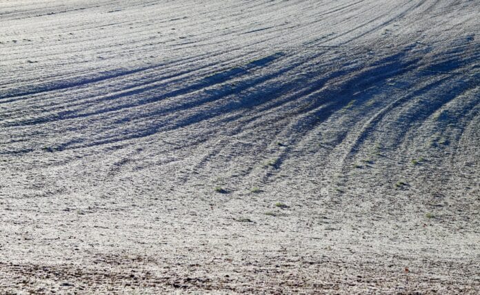 Fotografia “light field” (plenottica) Fotografia “light field” (plenottica)