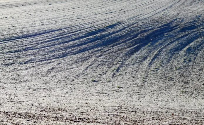 Fotografia “light field” (plenottica)