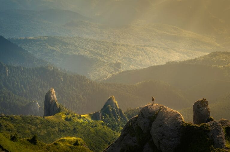 alone in the unspoilt wilderness stockpack unsplash