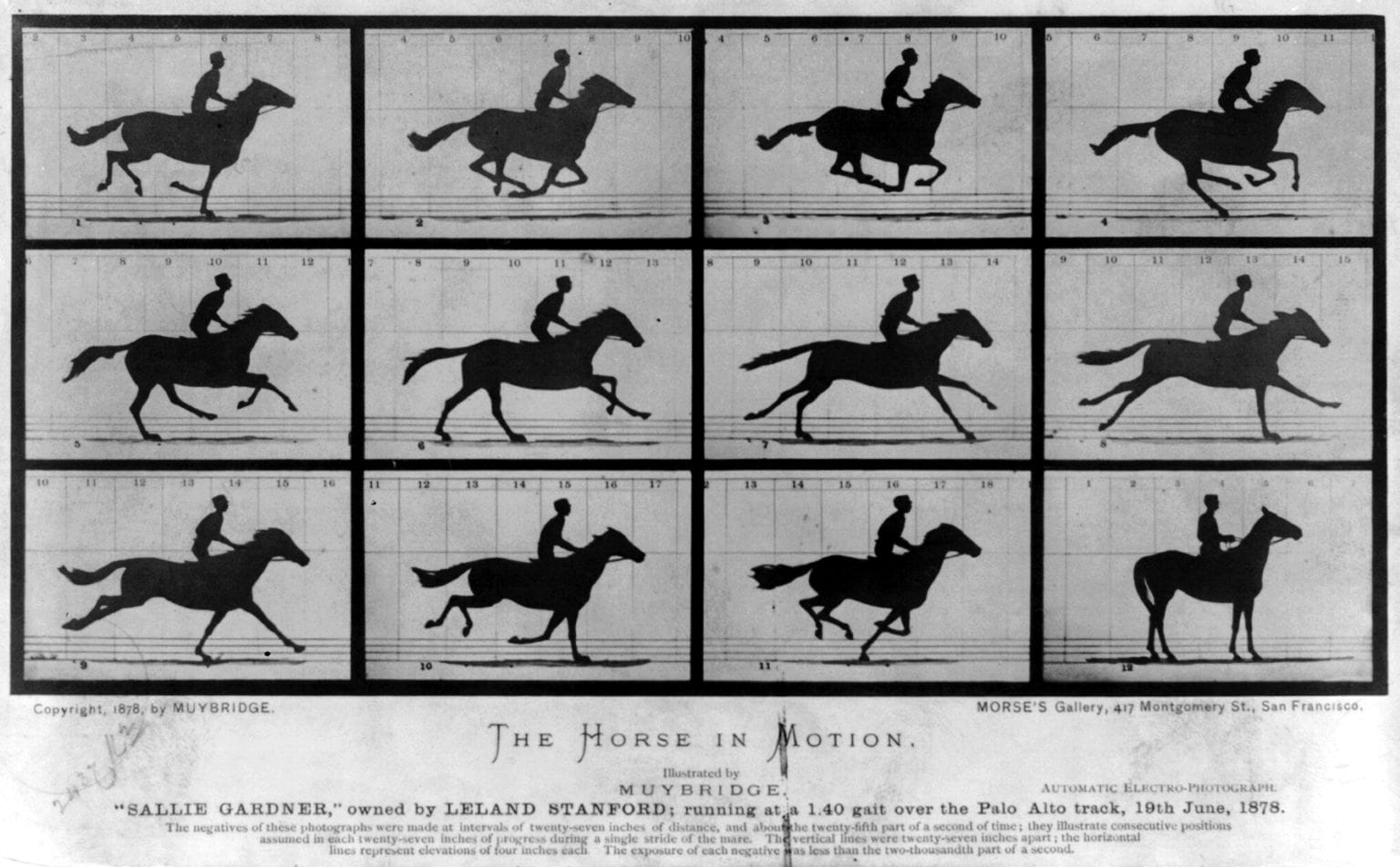 cavallo-in-movimento-overtime-eadward-muybridge