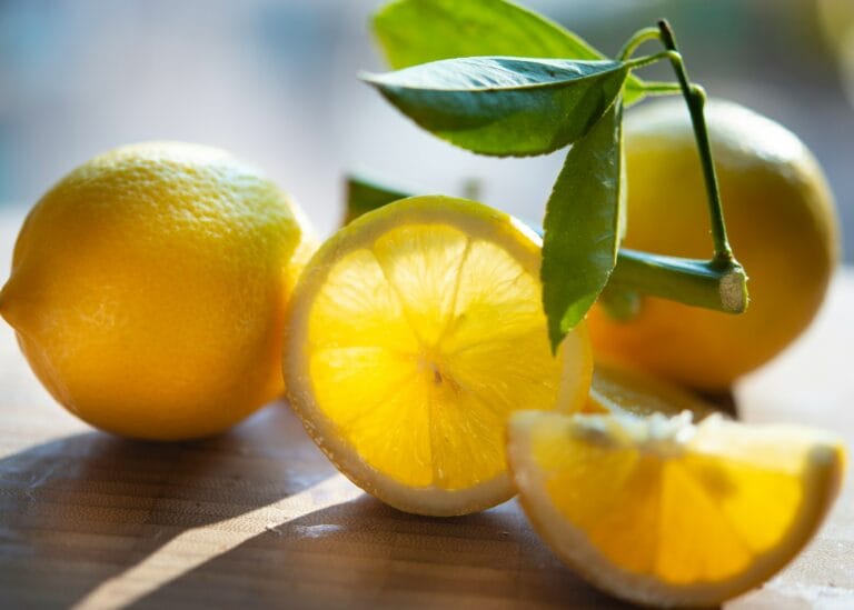 garden fresh picked lemons in glowing light still life stockpack unsplash