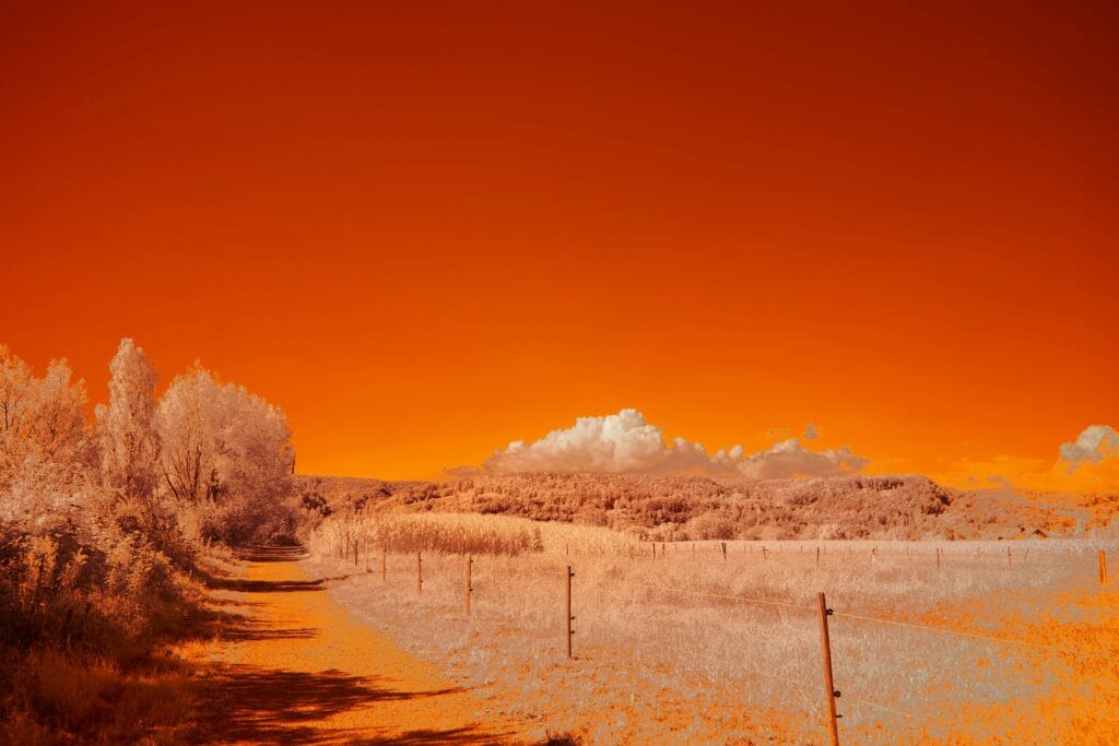Fotografia effetto: 15 tecniche creative per immagini uniche 12 la fotografia infrarosso