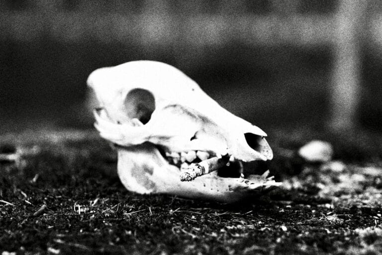 reconsider smoking stockpack unsplash
