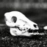 reconsider smoking stockpack unsplash