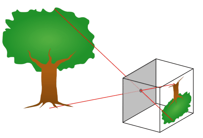stenoscopia stenoscopia