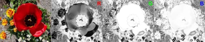 Il Processo Gasparcolor (1933 – 1960) Il Processo Gasparcolor (1933 – 1960)