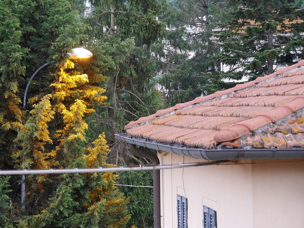 Hot_color_temperature