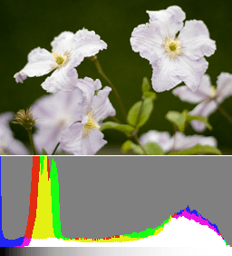 Histogram-ETTR