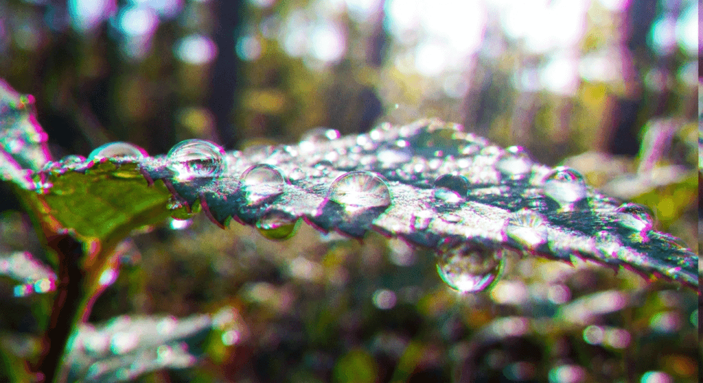 aberrazione cromatica 1