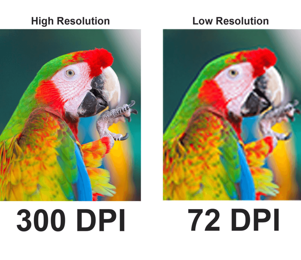 Cosa Sono DPI e PPI: La Guida Definitiva per Fotografi 6 DPI vs PPI