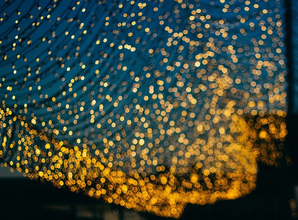 Bokeh: cos’è, come si ottiene e quali obiettivi lo rendono migliore 2 Shining stars