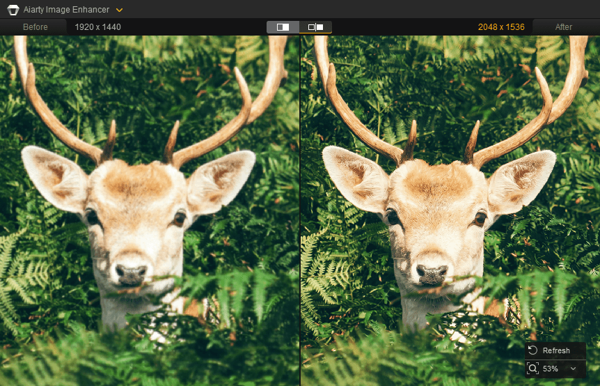 Aiarty Image Enhancer: recensione completa 4 Aiarty Image Enhancer